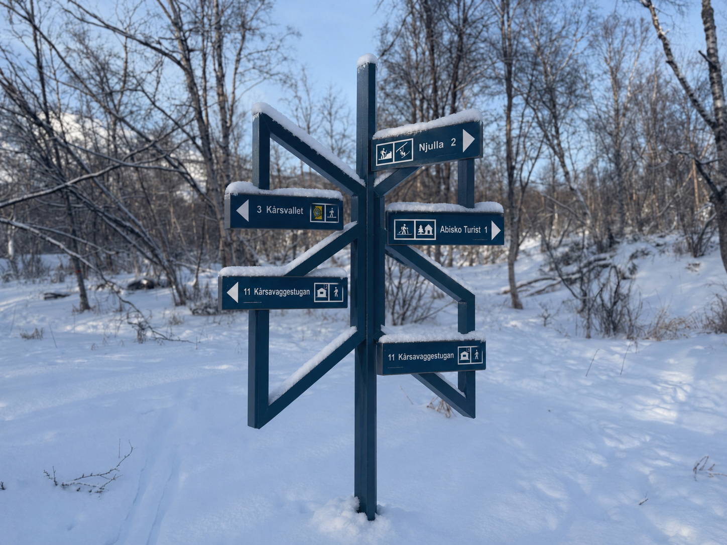 Perplexity B2B customer journey: citatiebronnen per fase — Reddit, LinkedIn, vakmedia